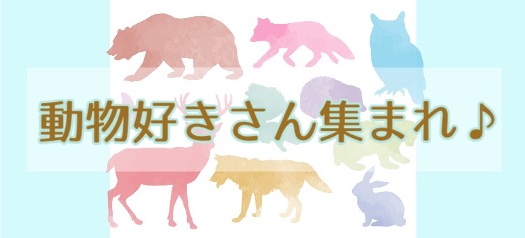 cook 今日なに作ろ？